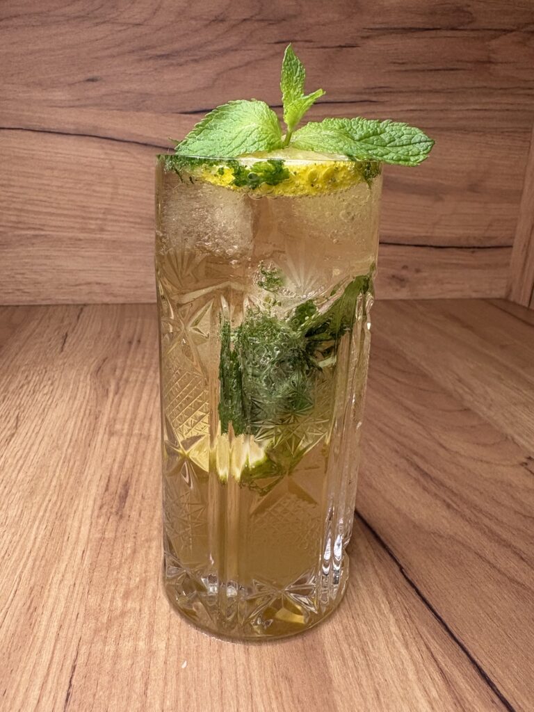 Mojito Koktel