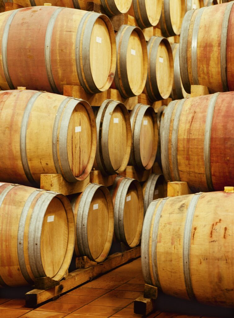 Budar Vina