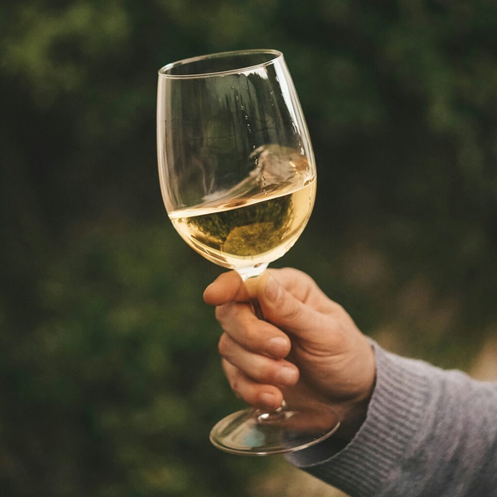 Belo Vino