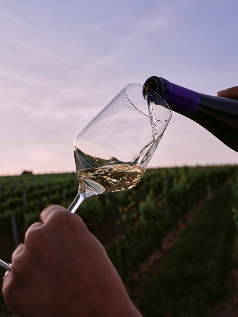 Belo Vino