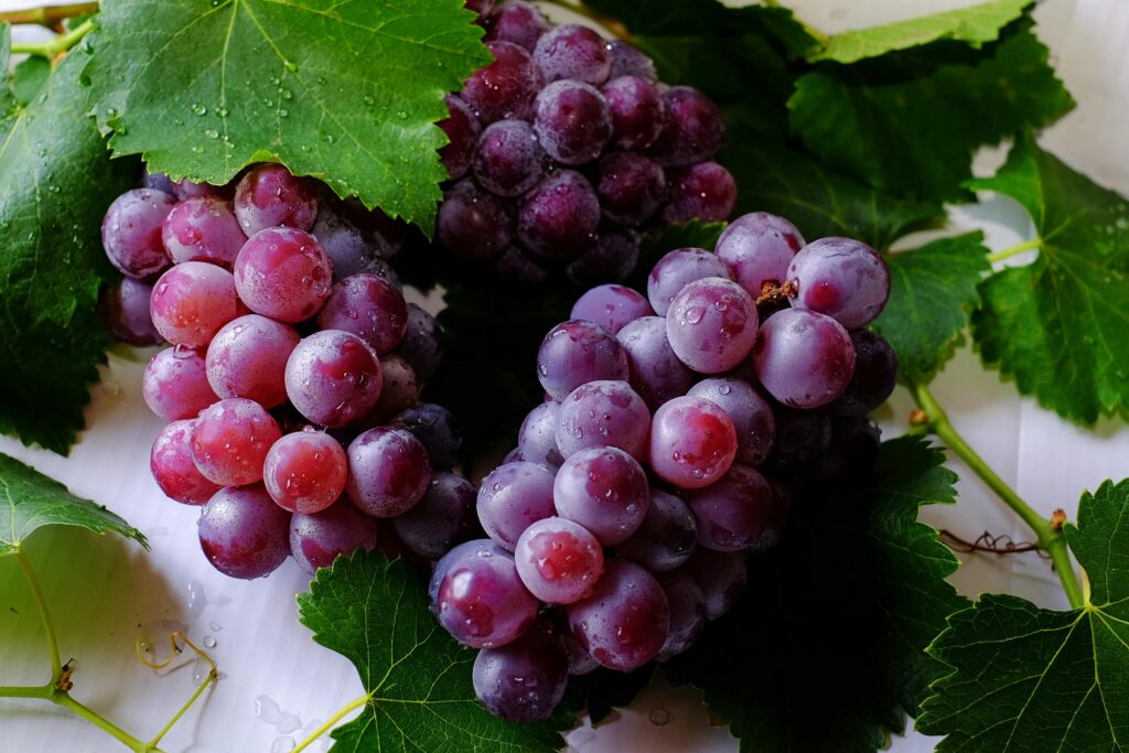 Grenas vino detaljno