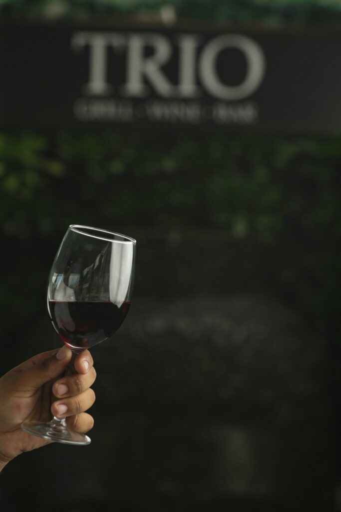 Malbek Vino