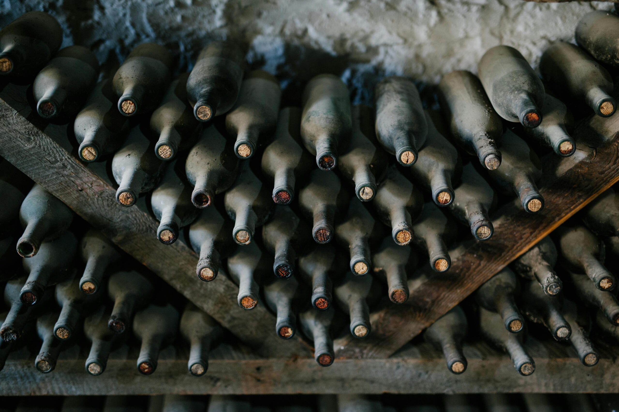 Zinfandel Vino detaljno