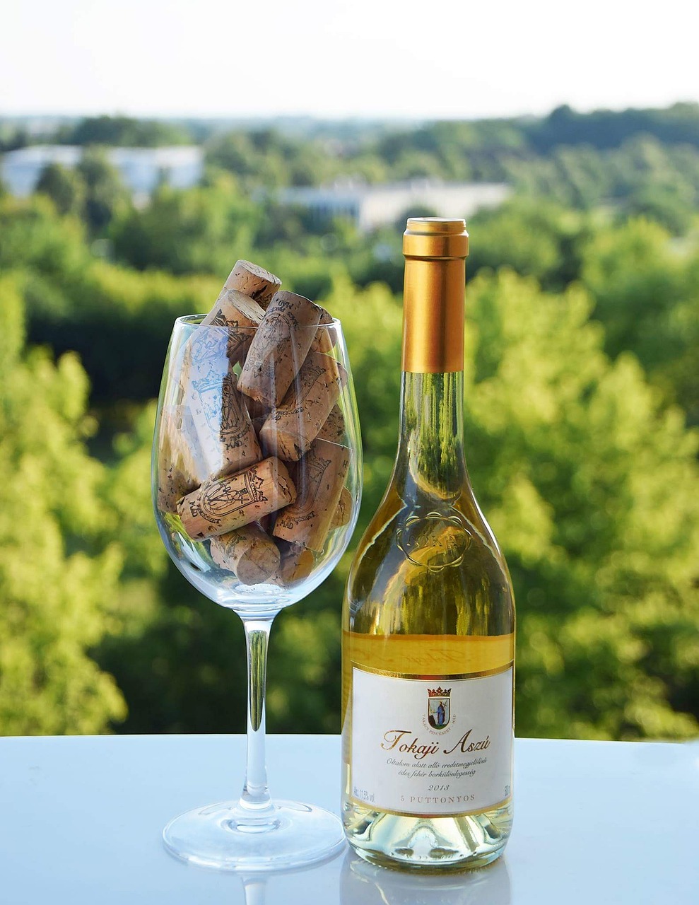 Tokaj Vino Detaljno