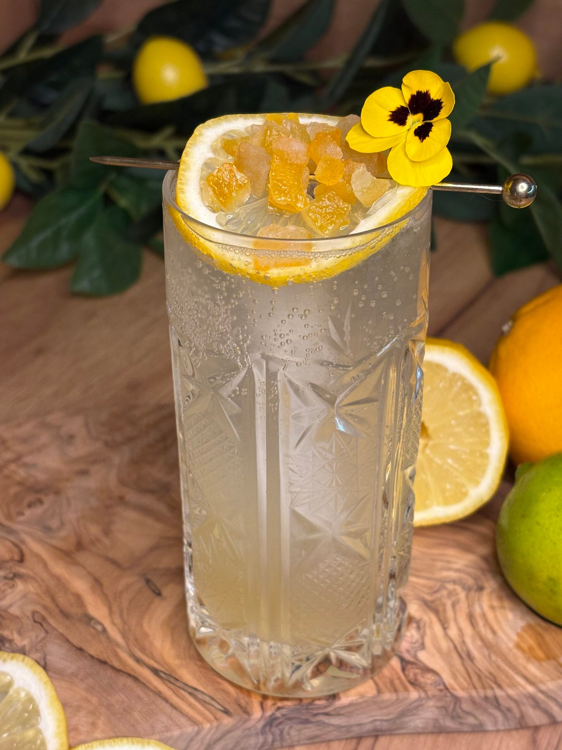 Tom Collins