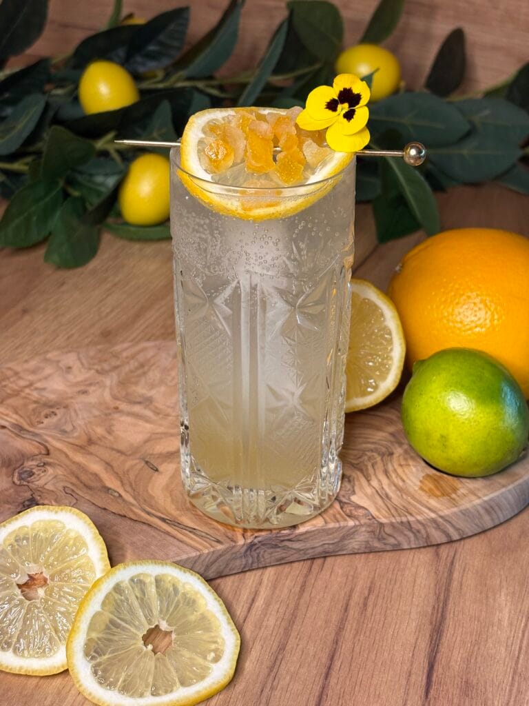Kako napraviti Tom Collins