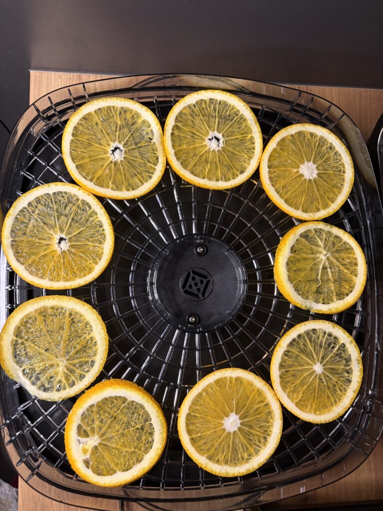 Narandza isecena za dehidraciju