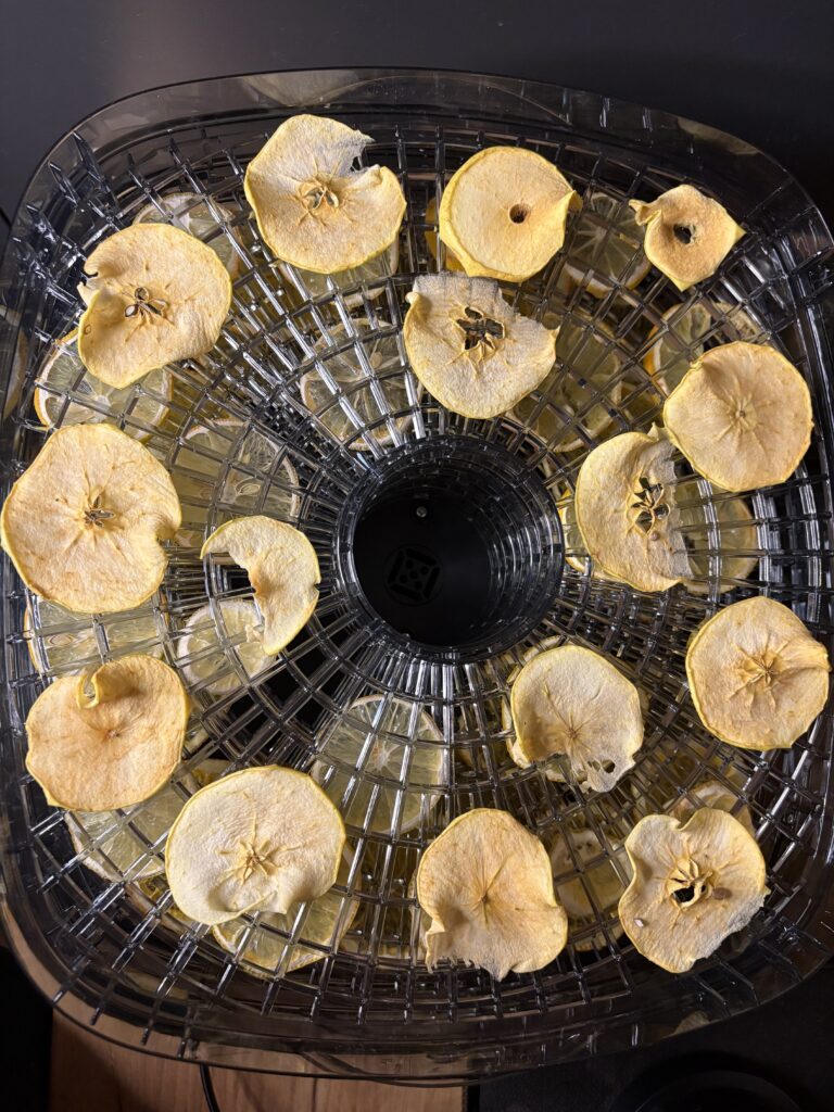 Jabuka u toku procesa dehidracije